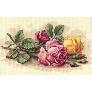 https://www.coricamo.com/120856-home_default/cross-stitch-kit-rose-cuttings.jpg