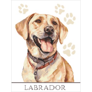 NYIXIA Stamped Cross Stitch Kits for Adults Beginner,Cat And Dog