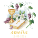 W 10869 Cross Stitch Pattern PDF - I minnering av första gemenskapen med de heliga skrifterna