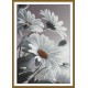 NCP 3422 Cross Stitch -Kit mit gedruckter Hintergrund - geheimer Charme