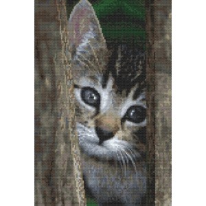 Cross stitch kit - Twisted cats - Coricamo