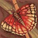 4049 Tapestry Canvas - Butterfly