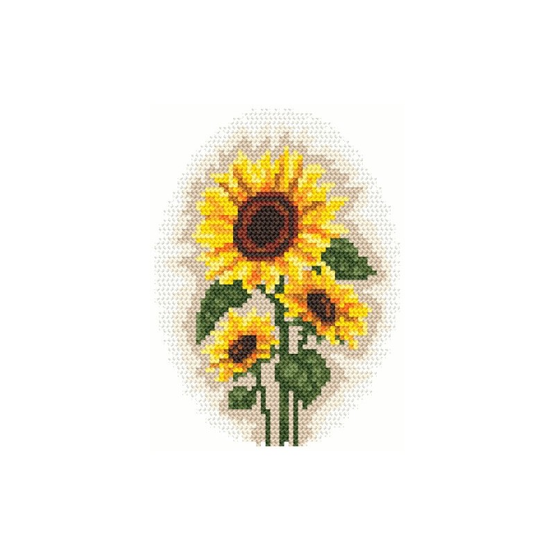 Flowers Cross Stitch Kit Packages, Counted Cross-Stitching Kits, New  Pattern Not Printed Cross Stitch Painting Set