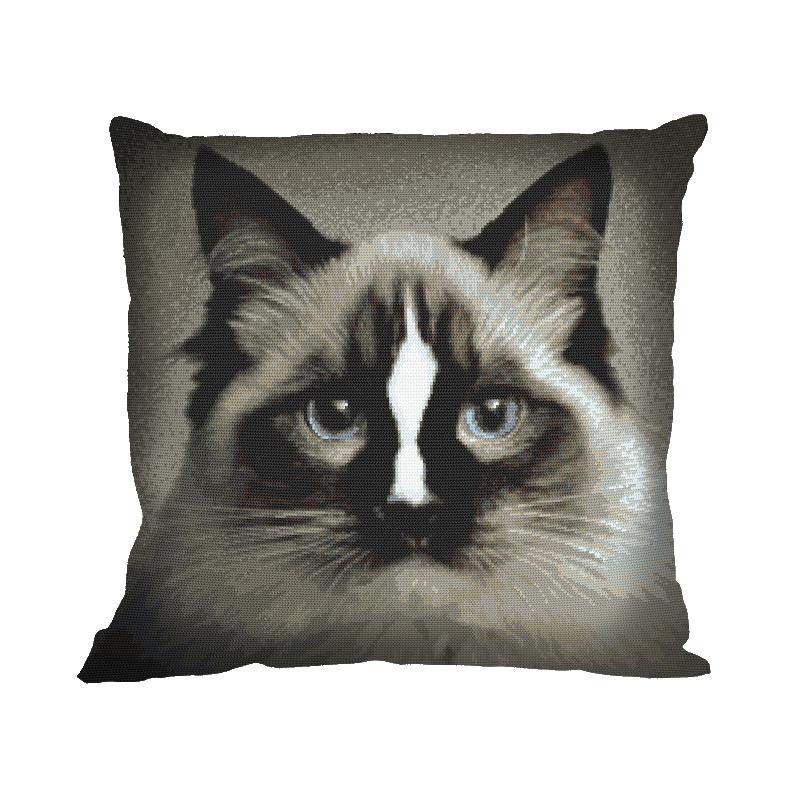 pillow for cat