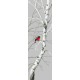 GC 8765 Cross Stitch Mönster på papper - Birches III