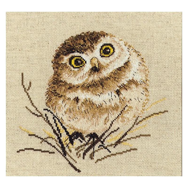 Download Cross stitch kit - Owl dream